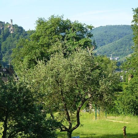 Apartmán Feriendomizil Im Plantert Traben-Trarbach Exteriér fotografie